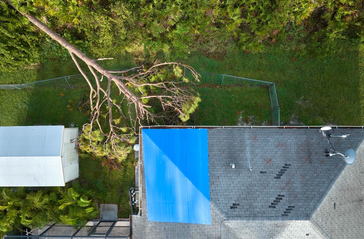 what to do when a tree falls on your roof
