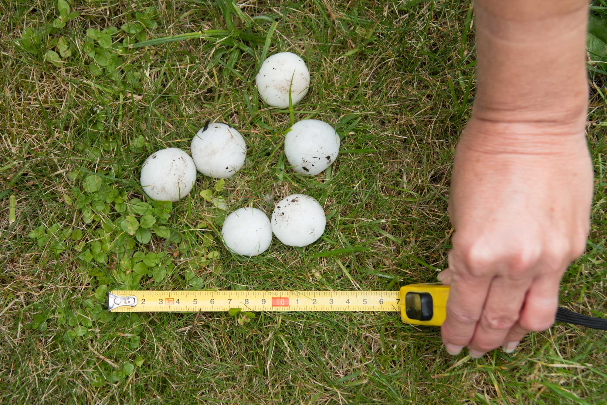 hail damage inspection